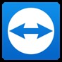 teamviewer15.11.6