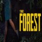 the forest联机存档后自己能玩吗
