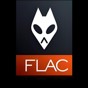 可以播放flac的音乐播放器