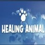 healingmate电影